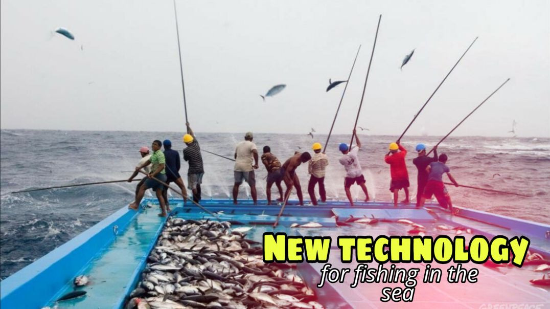 New techonology for fishing in the sea