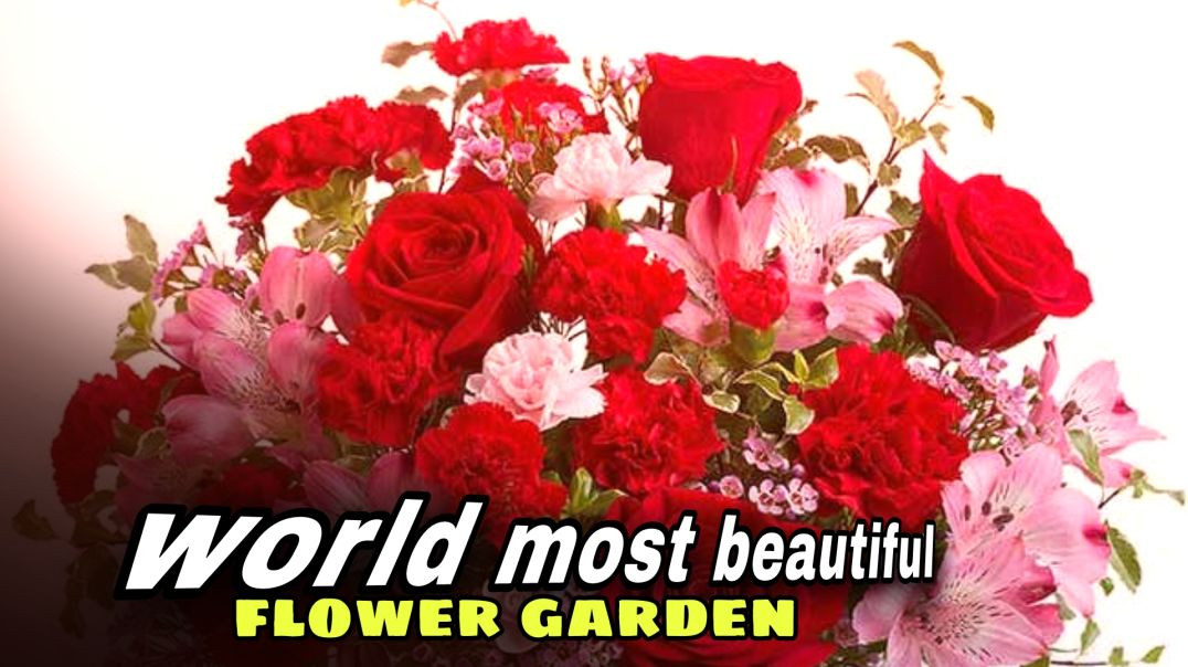 world famouse beautiful flower garden