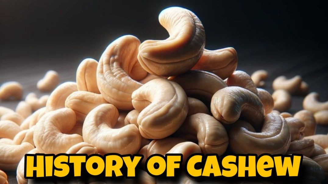 History of cashew