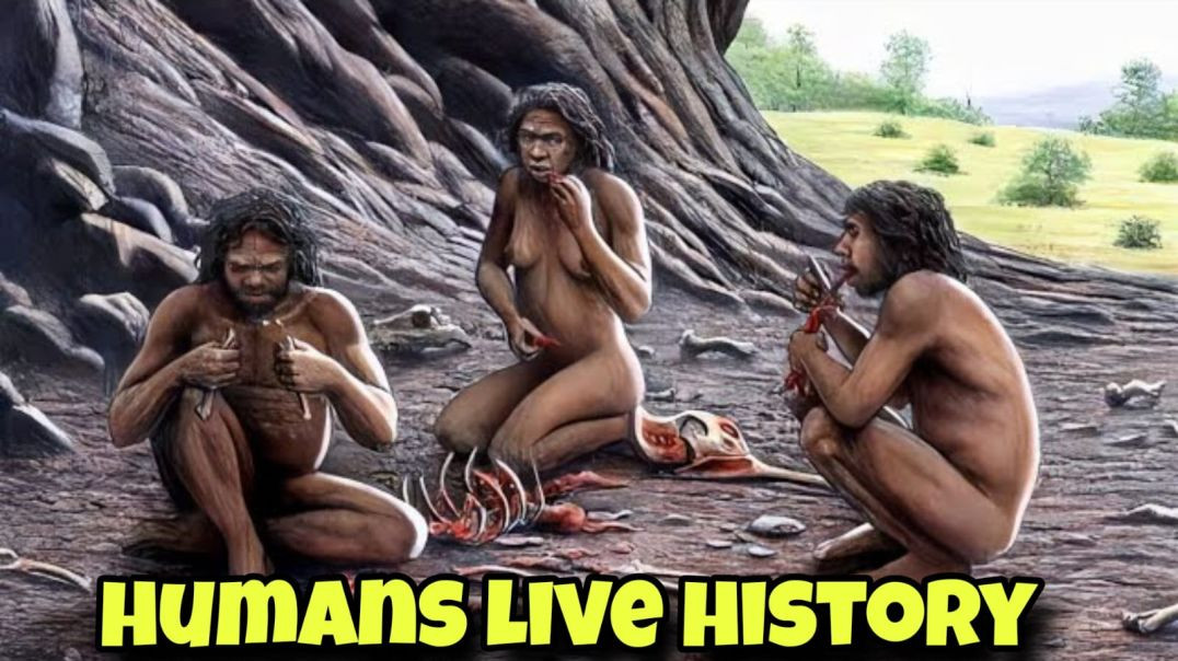 Humans live and what was their life history